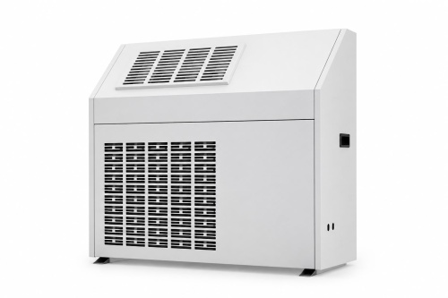 Конденсационный осушитель воздуха Freeair FL-BG60